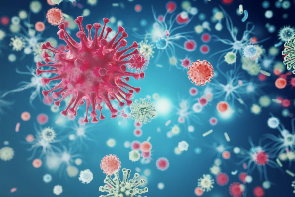 Biểu hiện của HIV theo giai đoạn