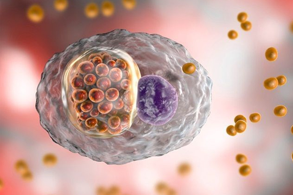 Nguyên nhân gây ra bệnh chlamydia ở nam giới | G3VN