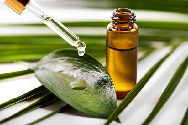 Chữa bệnh lậu bằng tinh dầu trà